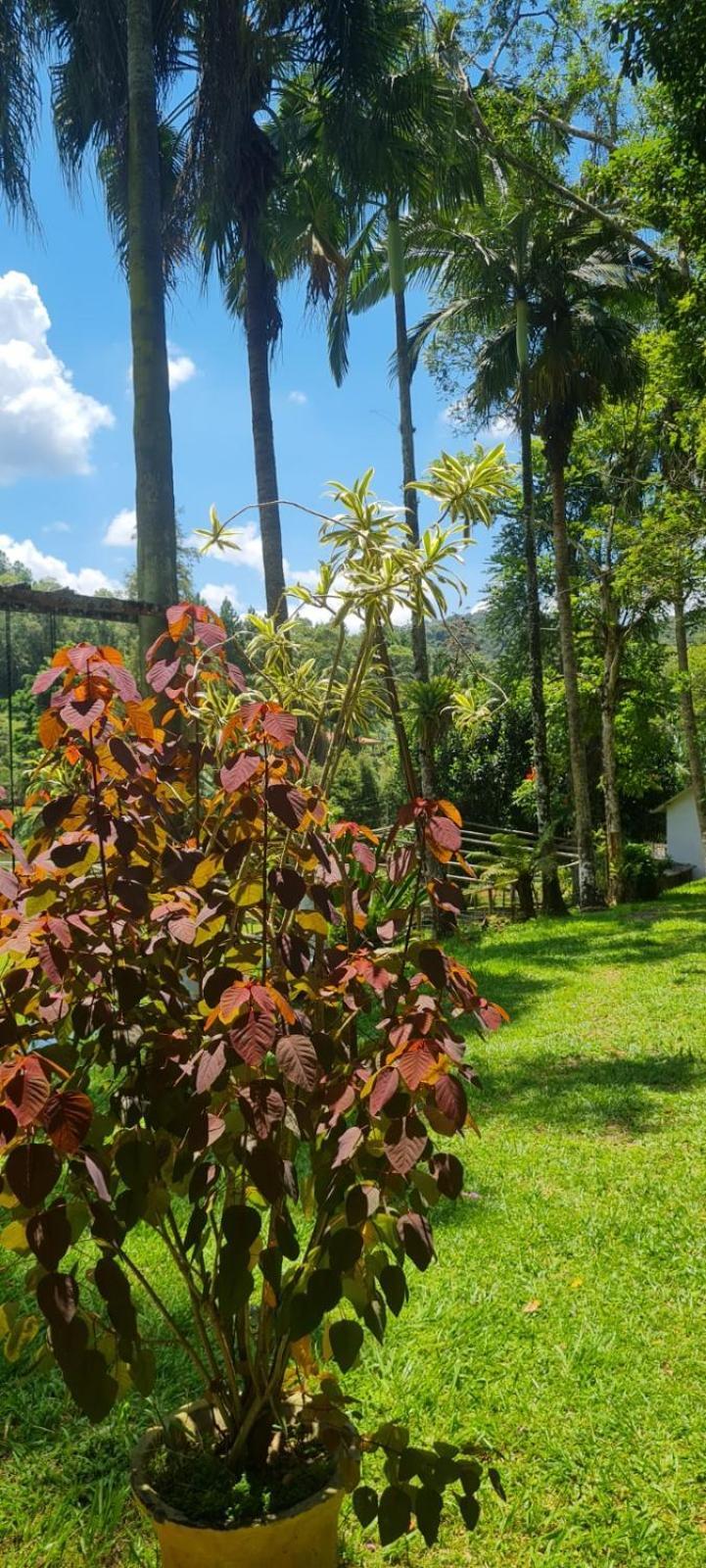 Villa Sitio Saramandaia Juquitiba Exterior foto